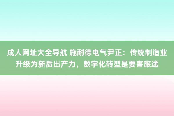 成人网址大全导航 施耐德电气尹正：传统制造业升级为新质出产力，数字化转型是要害旅途