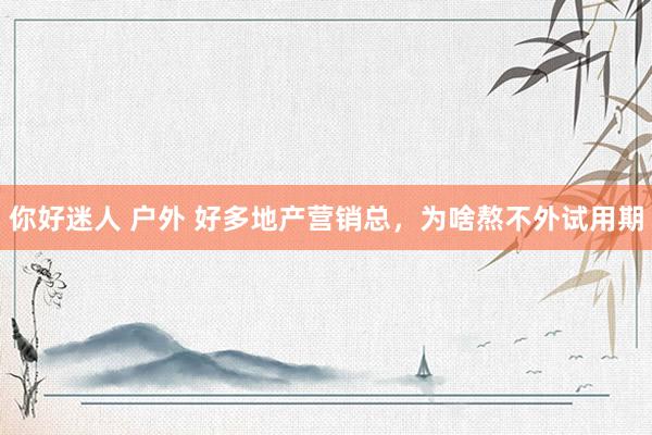 你好迷人 户外 好多地产营销总，为啥熬不外试用期