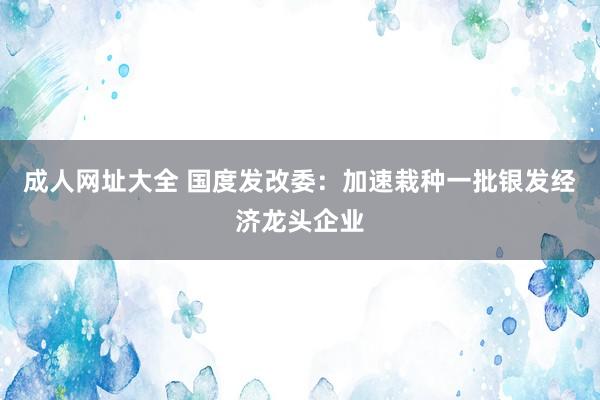 成人网址大全 国度发改委：加速栽种一批银发经济龙头企业