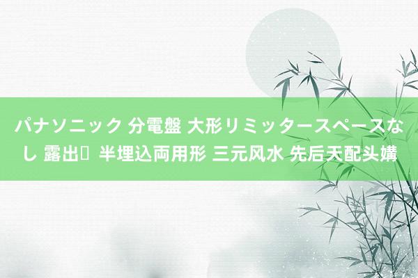 パナソニック 分電盤 大形リミッタースペースなし 露出・半埋込両用形 三元风水 先后天配头媾