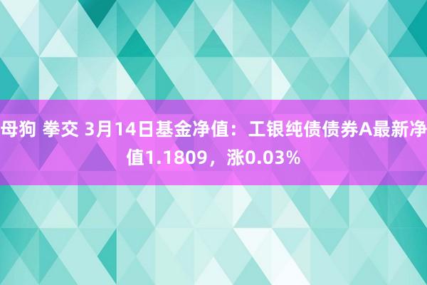 母狗 拳交 3月14日基金净值：工银纯债债券A最新净值1.1809，涨0.03%