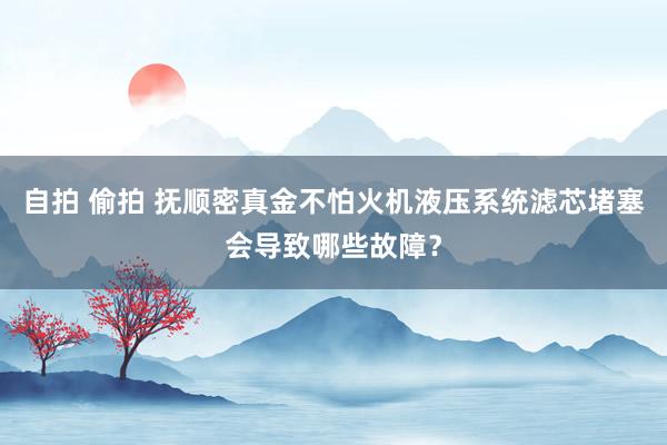 自拍 偷拍 抚顺密真金不怕火机液压系统滤芯堵塞会导致哪些故障？