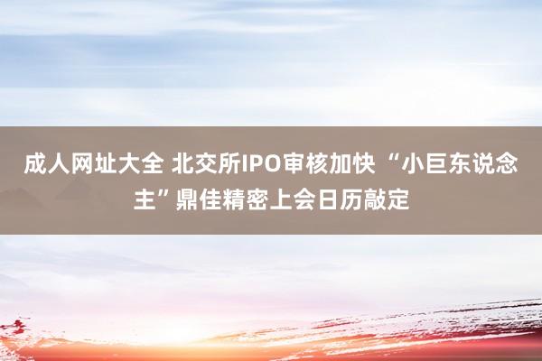 成人网址大全 北交所IPO审核加快 “小巨东说念主”鼎佳精密上会日历敲定