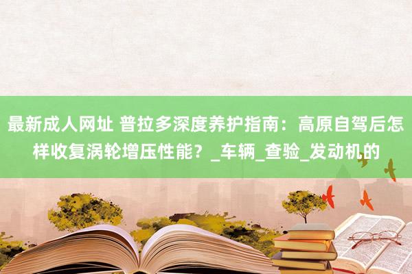 最新成人网址 普拉多深度养护指南：高原自驾后怎样收复涡轮增压性能？_车辆_查验_发动机的