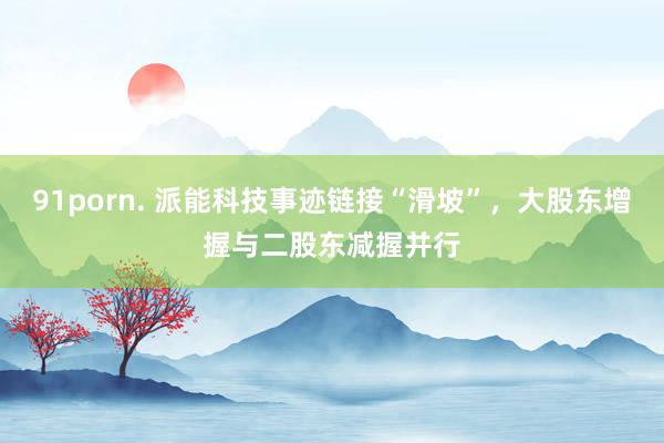 91porn. 派能科技事迹链接“滑坡”，大股东增握与二股东减握并行